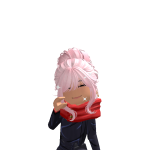 @toydoggo