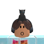 @rblxmaxi711
