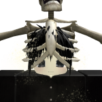 @lorito202034_XD
