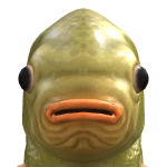 @trke08