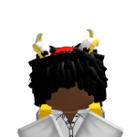 @Nintendo1333
