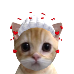@cuteyaww