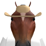 @Noobdeveloper56