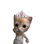 @RainbowCat94562