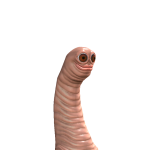 @horseriderAvaB