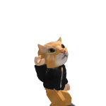 @Roboticat777