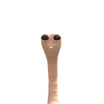 @Olivia_ChickenNuggie