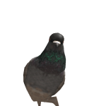 @quickcoralvictor