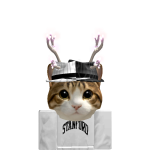 @2mrtx
