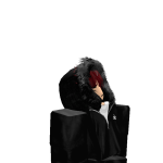 @supersonic6314