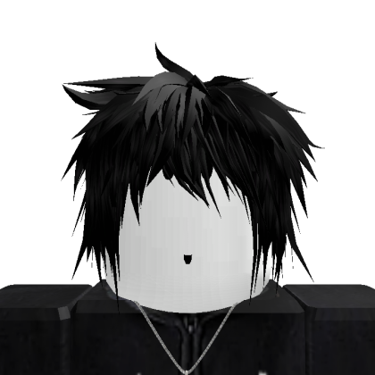 Roblox profile picture for @Miscellaneous
