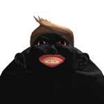 @the_void8000