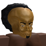 @saiifr
