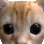 @sunny97777