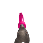 Balding_karen