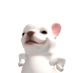 @R4NL2ZEN