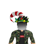 @Projpcs