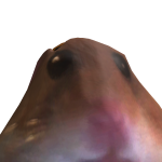 @manecocone