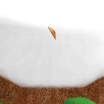 @catsfolife1110