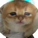 @someone7771