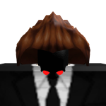 @Vrajplays