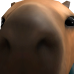 @salisaac