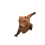 @gato53212