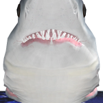 @KevinThegecko212