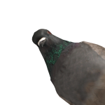 @noturdannie