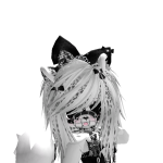 @NY4CORE