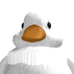 @icy_boy12