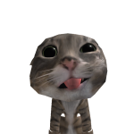 @TacsHusky