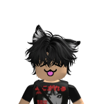 @Leonspy050607