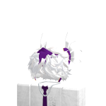 @5zint