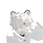 @N0AH_nyaa