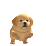 @Maggiethedog1234567