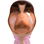 @heathQuinn11111