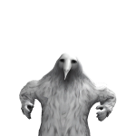 @racoon_plays29
