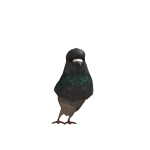 @roblox_user_2341724548