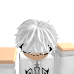 @NinjaSpyBoss1