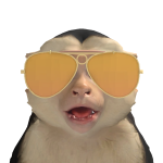 @XWarLionX