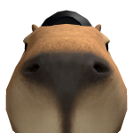 @Santilli122