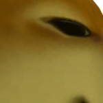 @QBLTDHWR