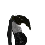 @17k_shark
