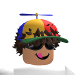 @fgtveecase