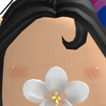 @XNortticaX