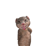 @pandy102812