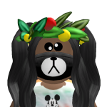 @Ariplaysroblxx14