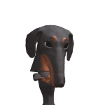 @r2mys