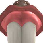 @jadenplays1223